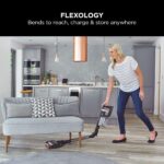 Shark Stratos Cordless Stick Vacuum Cleaner Pet Pro with Anti Hair Wrap Plus, 120 Mins Run-Time (2 Batteries), Clean Sense IQ & Anti-Odour, Pet, Crevice & Multi-Surface Tools, Charcoal/Silver IZ420UKT