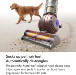 Dyson Ball Animal UP32 Vacuum Cleaner, self-detangling vanes for pet hair (Nickel/Silver)